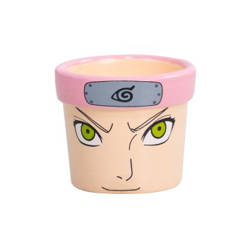 Cachepot Pt6 Naruto